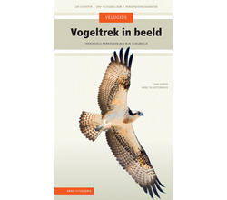 knnv_uitgeverij_veldgids_vogeltrek_in_beeld[1].jpg